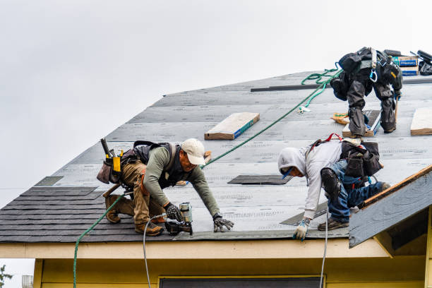 Professional Gutter Installation technician working in Lewis, IA